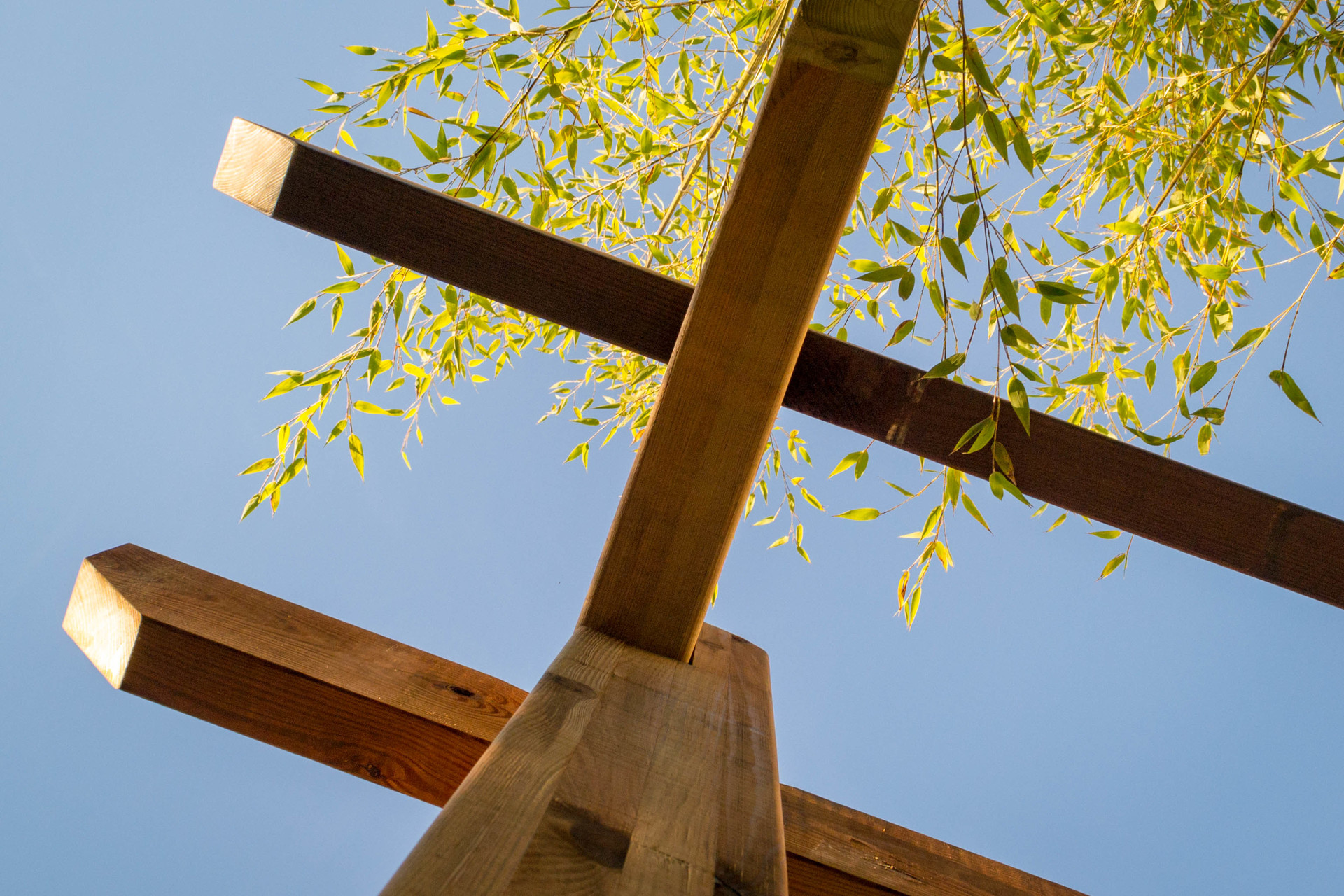 Pergola en bois à Toulouse